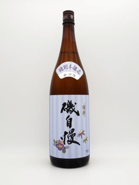 画像1: 磯自慢　特別本醸造　1800ml　（4月下旬入荷） (1)