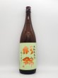 画像1: 杉錦　生酛純米初搾り　　1800ml　　　（限定商品） (1)